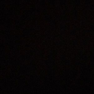 Meet your Posher, Tanner